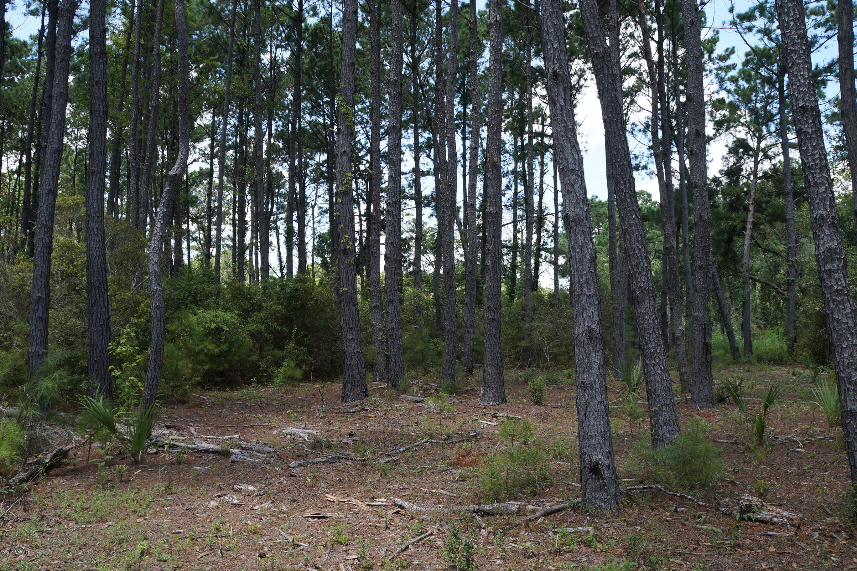 104-108 Fripp Point Road St. Helena Island, SC 29920 - Photo 10 of 29 DSC07727