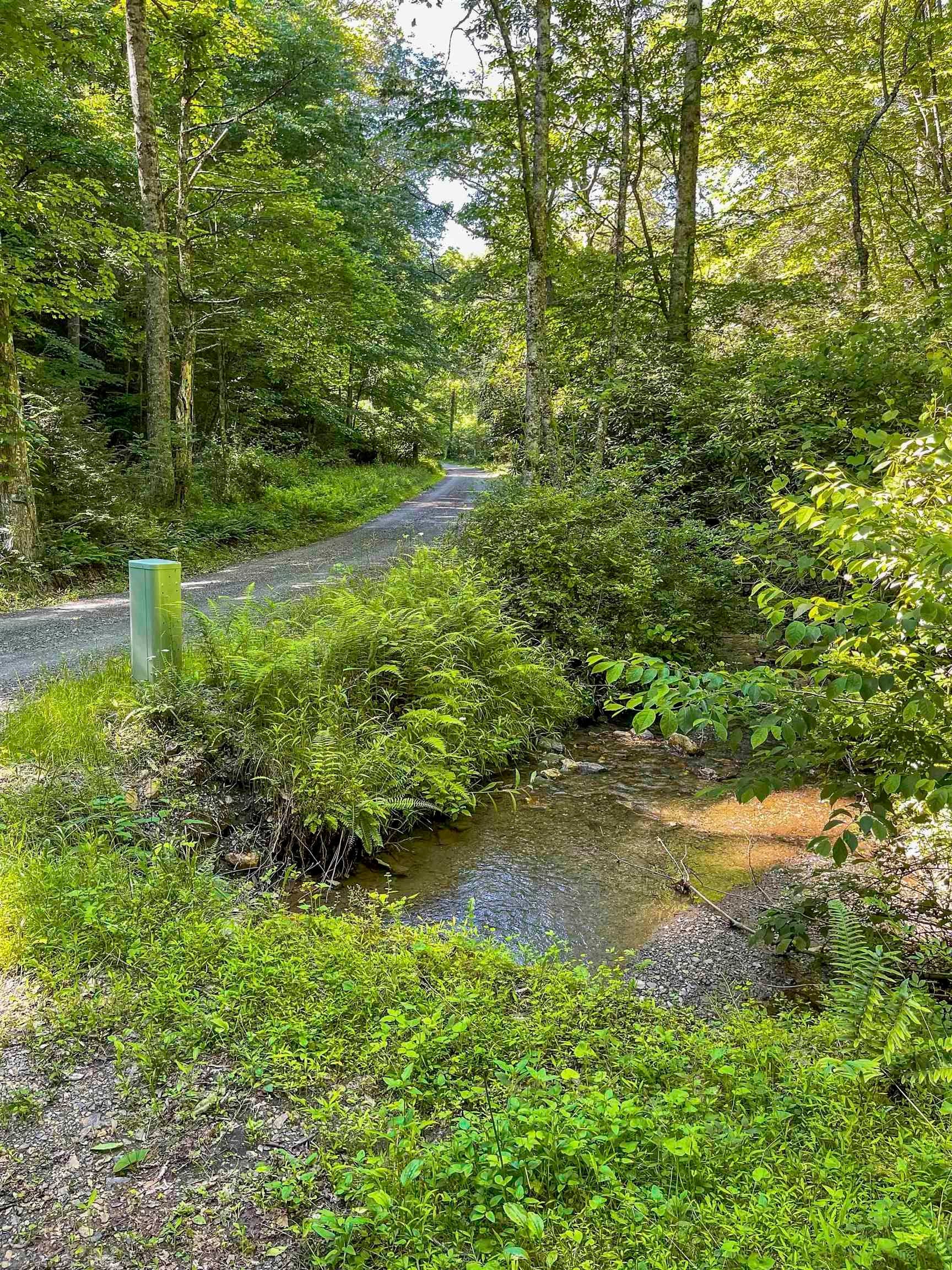 Tbd 68.5-ac Tbd 68.5-ac Berryhill Road Riner, VA 24149 - Photo 4 of 25 Gallery Image 4