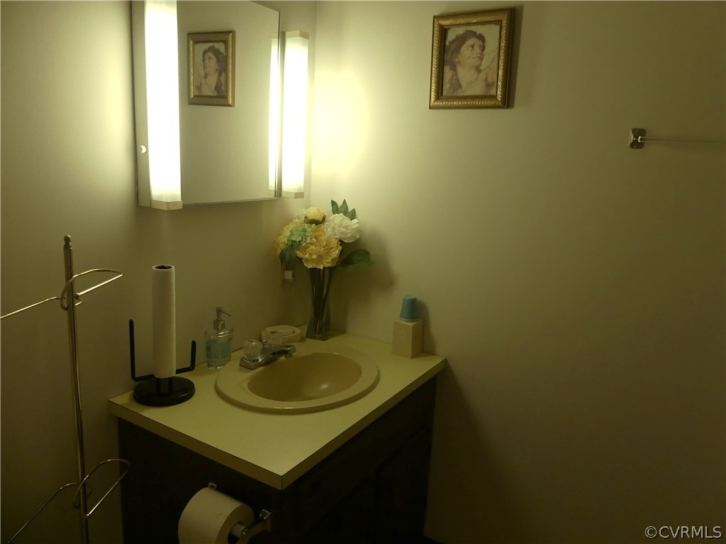 1876 Scotts Bottom Road Dillwyn, VA 23936 - Photo 20 of 30 a bathroom with a sink and a mirror