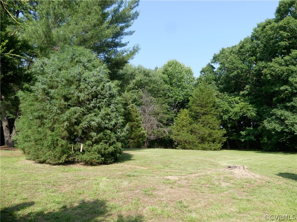 1876 Scotts Bottom Road Dillwyn, VA 23936 - Photo 28 of 30 a view of a yard with a house