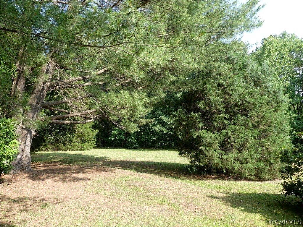 1876 Scotts Bottom Road Dillwyn, VA 23936 - Photo 29 of 30 a view of a yard with a trees