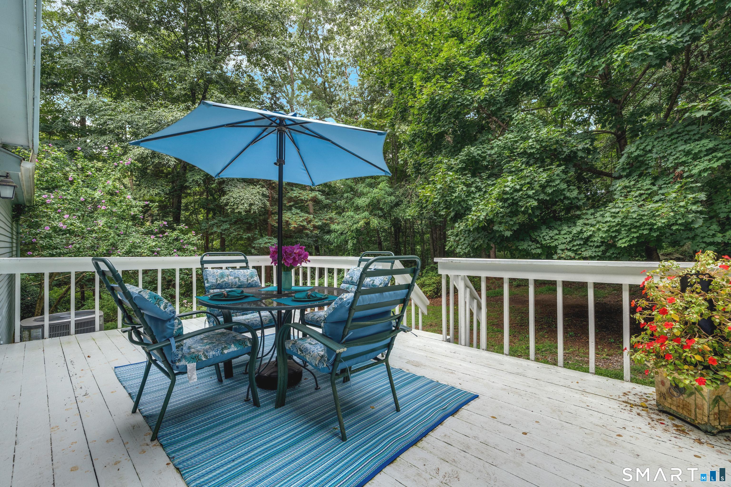73 Long Hill Road Deep River, CT 06417 - Photo 14 of 39 Ideal For Outdoor Entertaining
