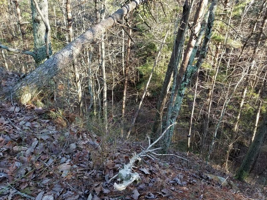 200 Palmer Firetower Road Whitwell, TN 37397 - Photo 3 of 12 Gallery Image 3