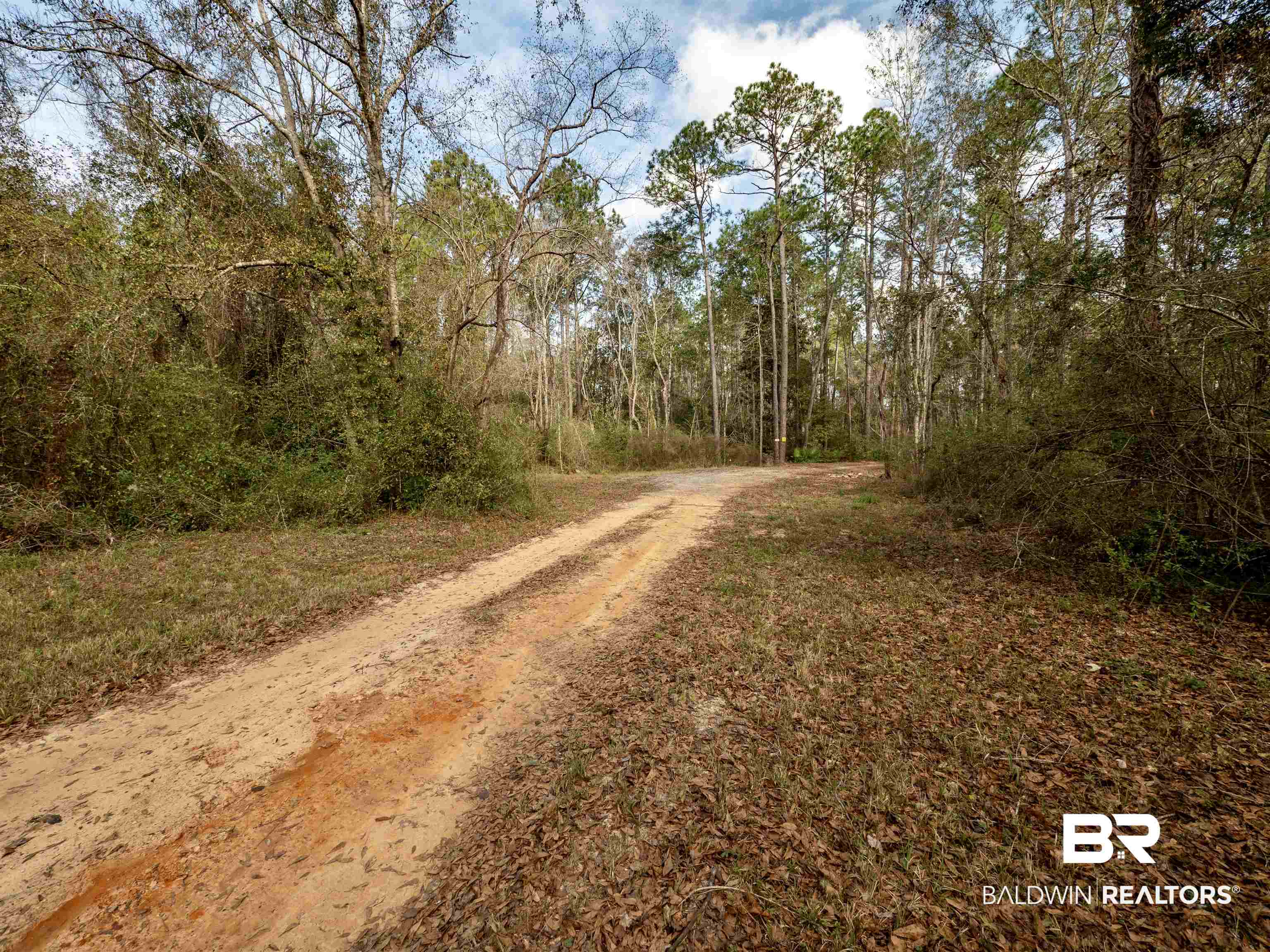 17338 River Road Summerdale, AL 36580 - Photo 5 of 31