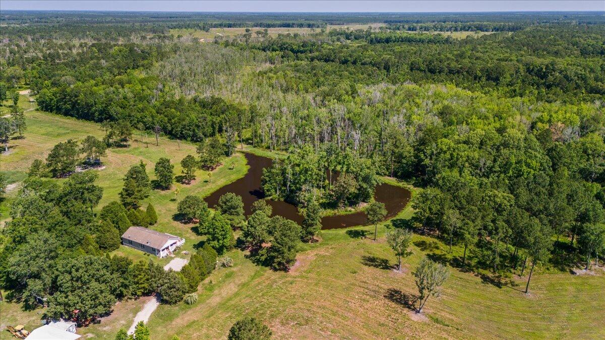 6397 Spring Grove Road Adams Run, SC 29426 - Photo 5 of 21 residence and pond