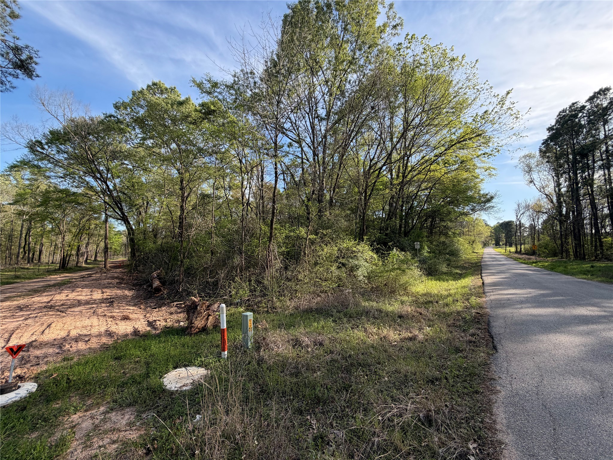 Tbd Jackson Road Coldspring, TX 77331 - Photo 2 of 8 a view of a park with large trees