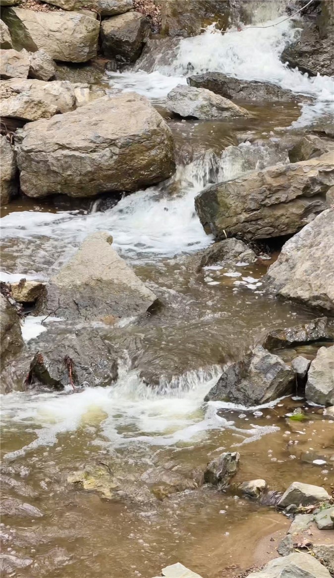 182 Park Road Perinton, NY 14534 - Photo 45 of 50 Enjoy a glimpse of the rushing creek from the grou