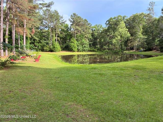 367 44th Highway Jayess, MS 39641 - Photo 36 of 38
