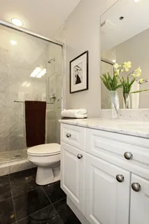 $485,000 | 101 West Superior Street, Unit 1106, Chicago, IL 60654