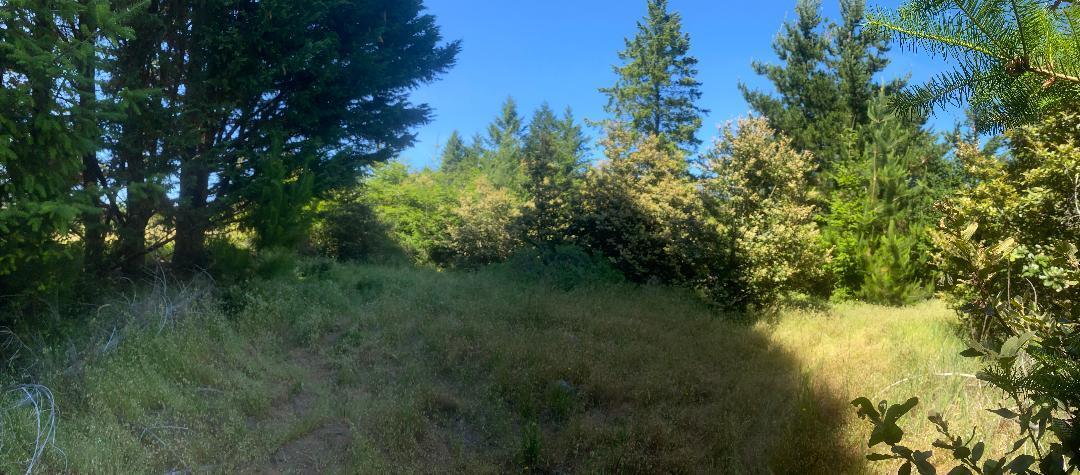 196 Ridge Road Shelter Cove, CA 95589 - Photo 6 of 9 154-71h