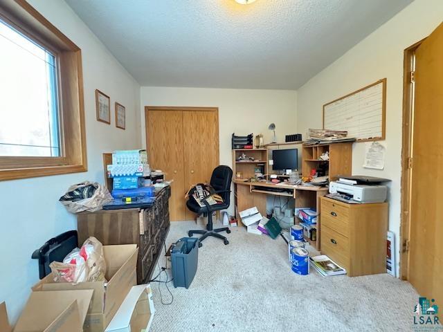 3932 Hicken Road Duluth, MN 55803 - Photo 9 of 37