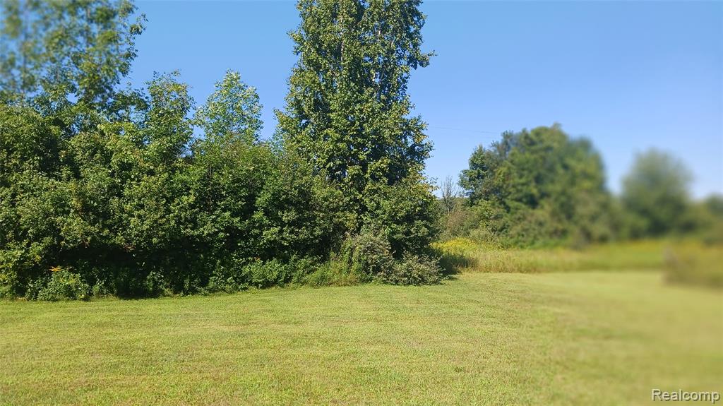 3803 Warner Road Cass City, MI 48726 - Photo 13 of 85
