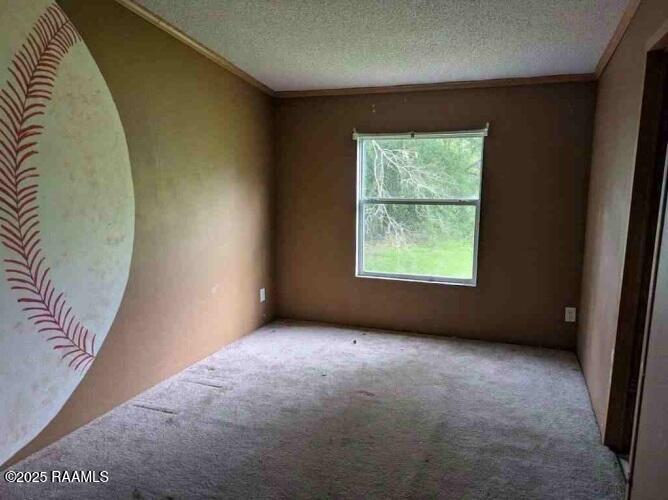 9384 Highway 182 Franklin, LA 70538 - Photo 7 of 11 9384-8