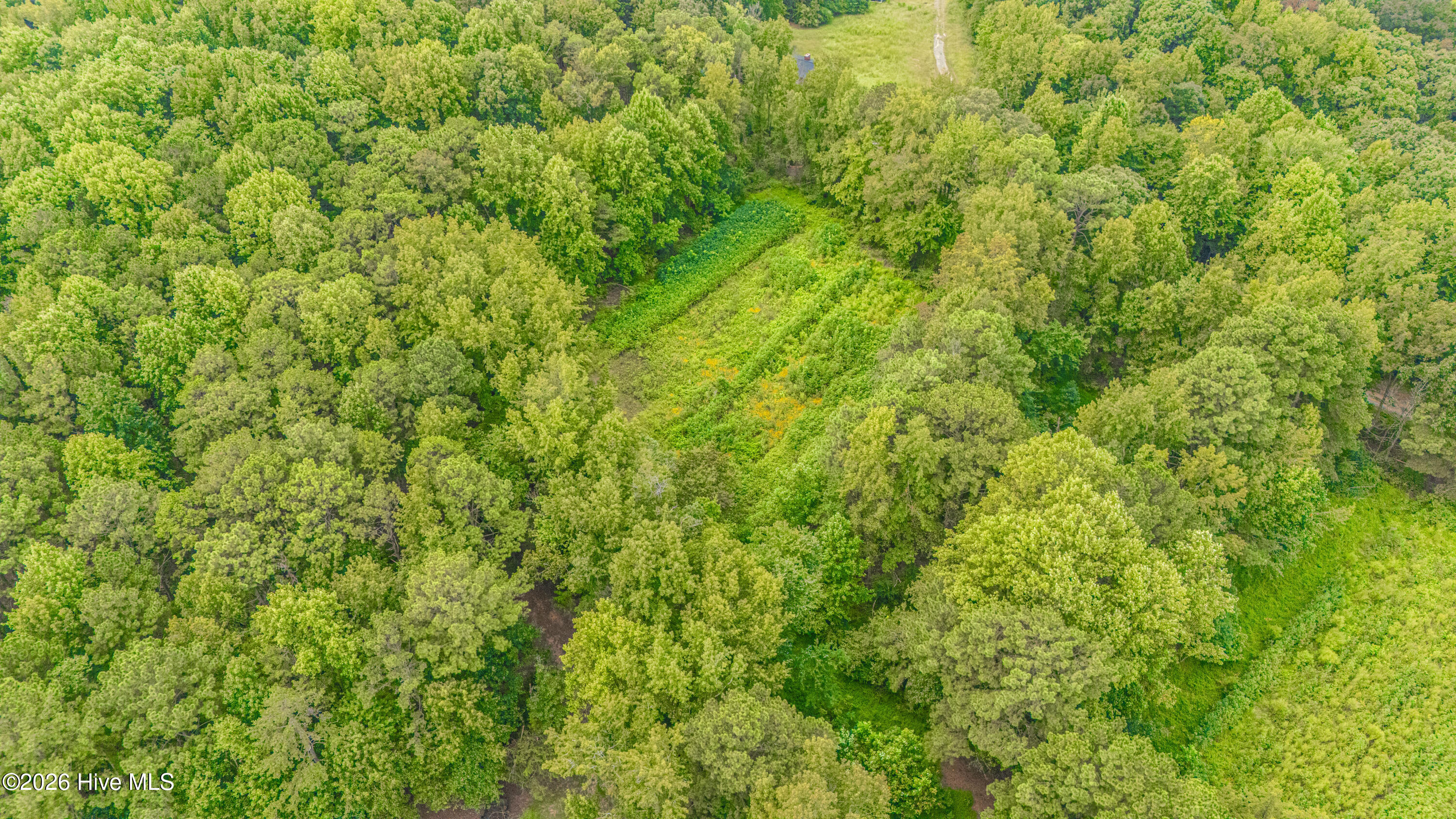 110 New Hope Church Road Star, NC 27356 - Photo 38 of 41 DJI_20260922104334_0005_D