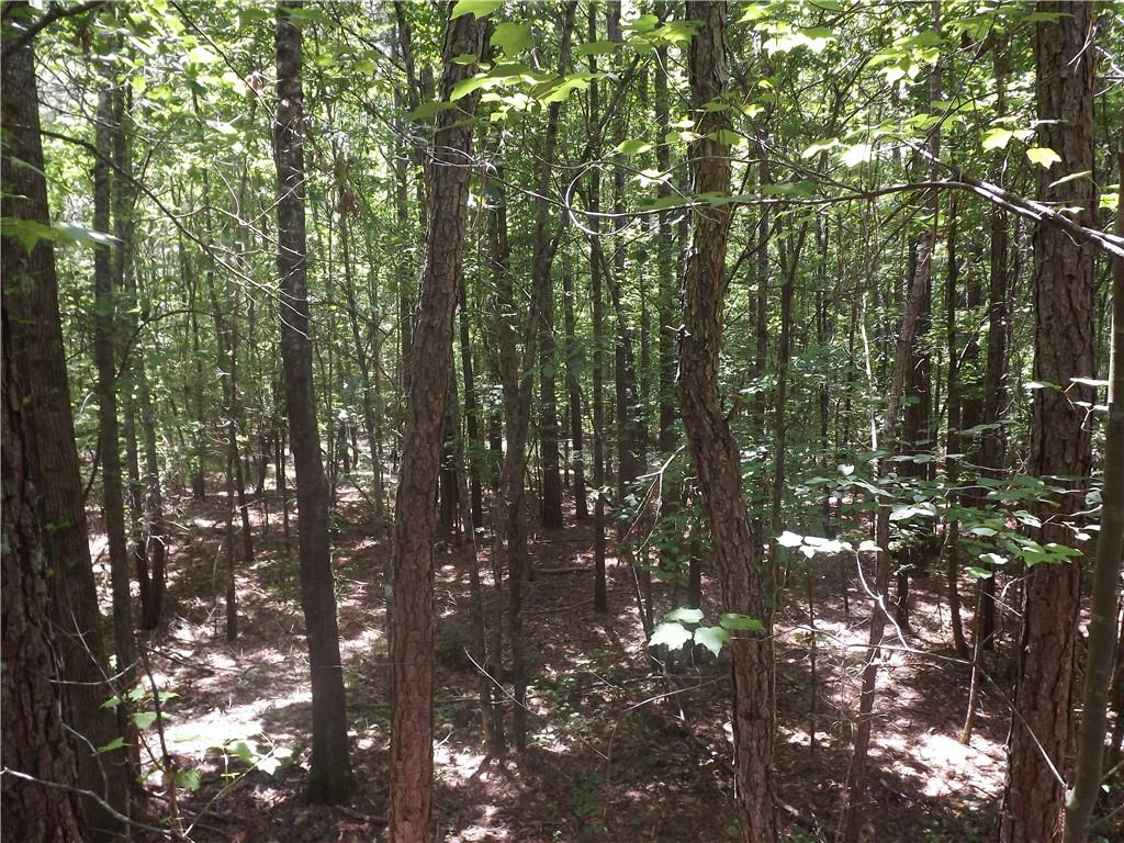 0 George Road Southwest Cave Spring, GA 30124 - Photo 21 of 22