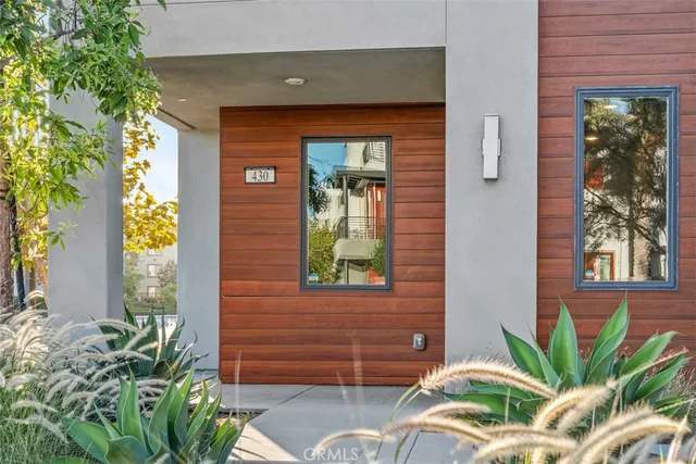 a potted plant sitting in front of a house