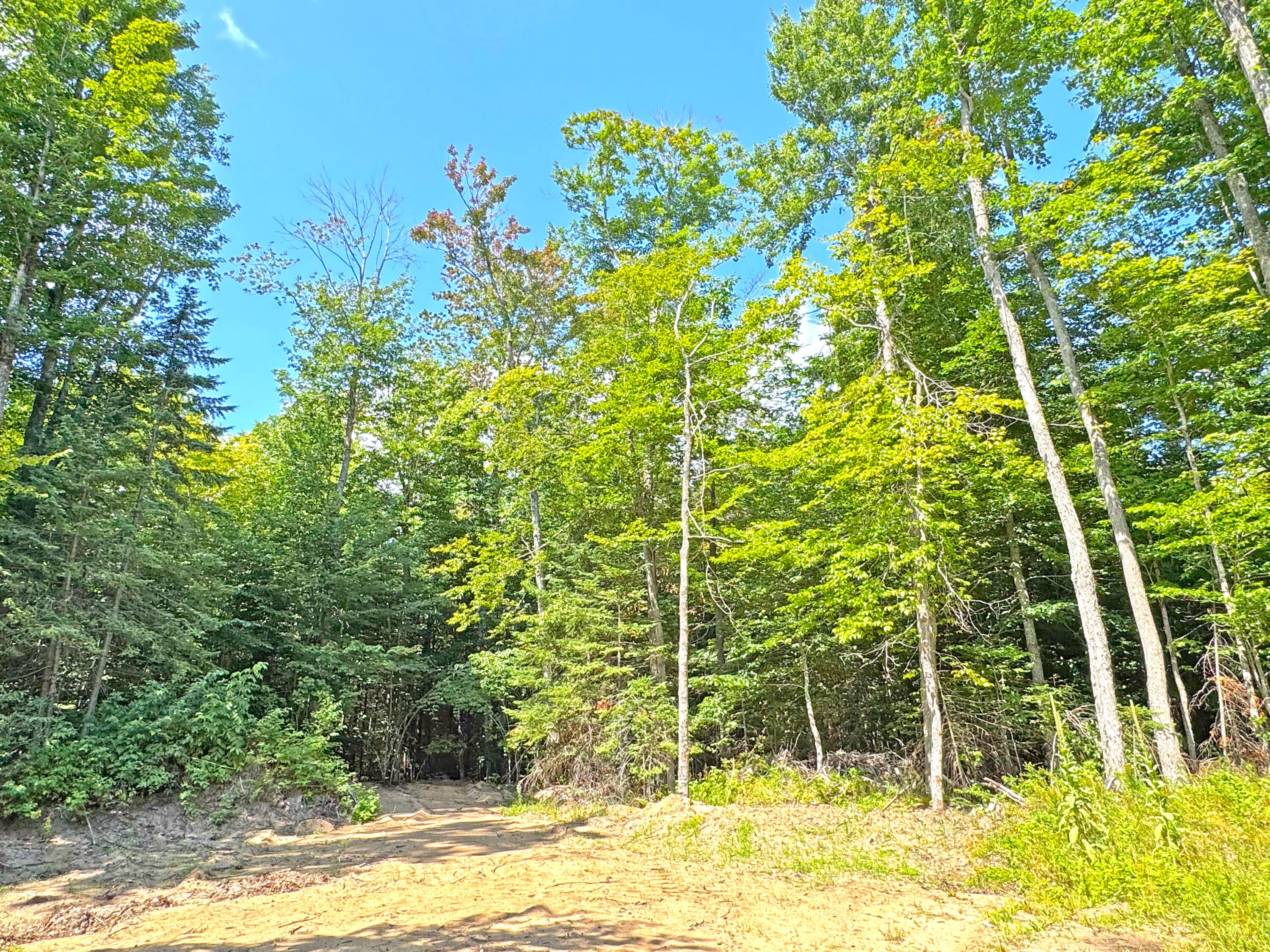33418 West North Road Eckerman, MI 49728 - Photo 53 of 60 Gallery Image 53