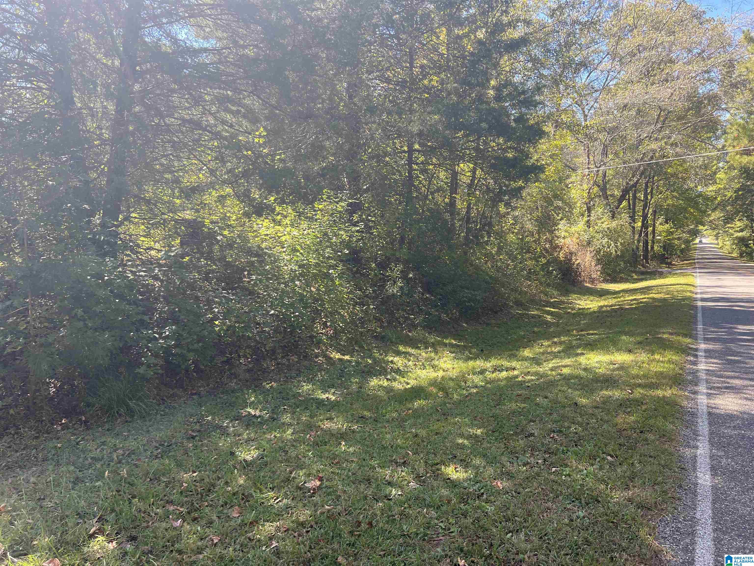 0 Odens Mill Road Sylacauga, AL 35151 - Photo 16 of 23