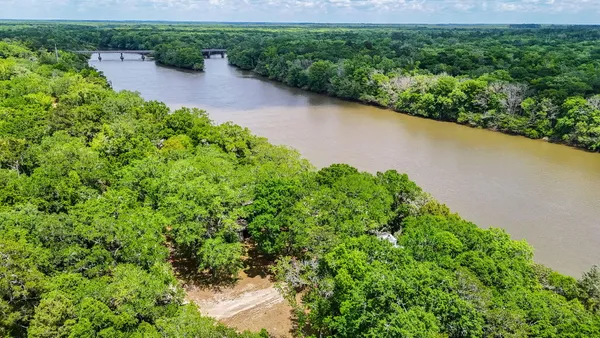 a view of a backyard with plants