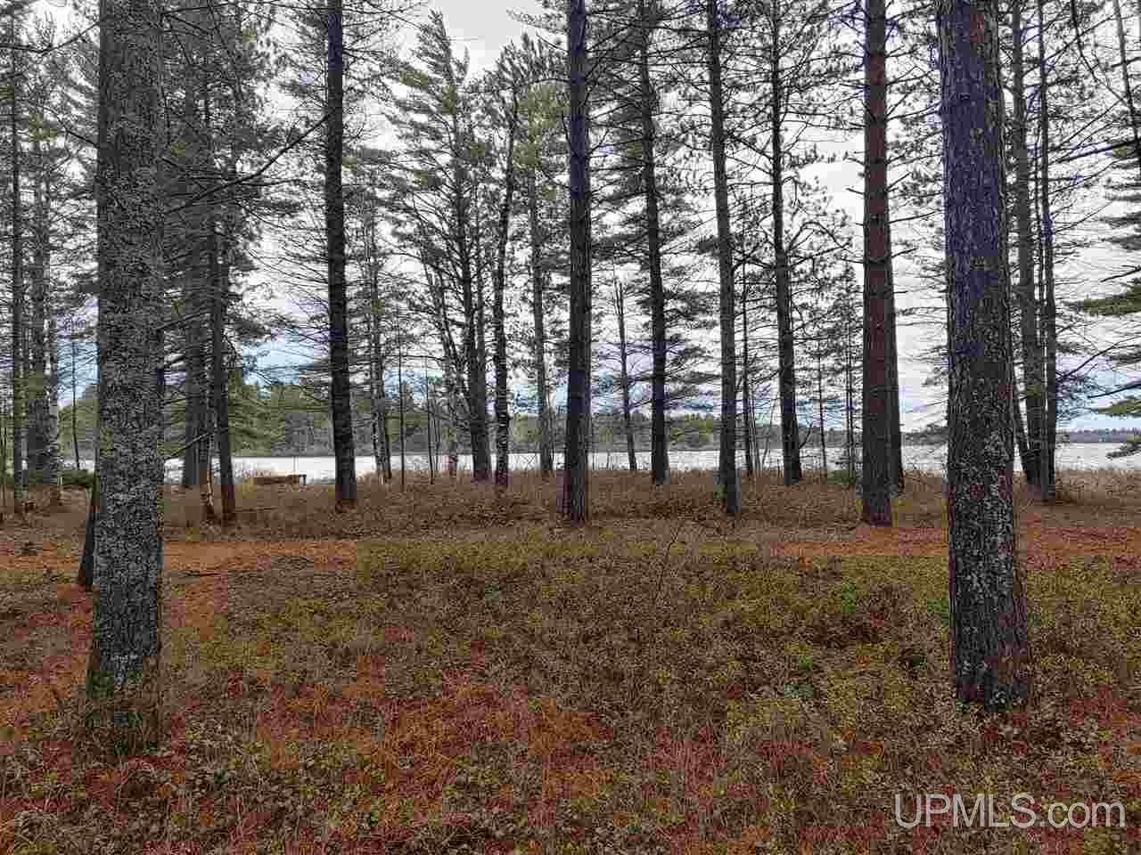 Lot 12 Rice Landing Rd Lake Lake Linden, MI 49945 - Photo 12 of 43