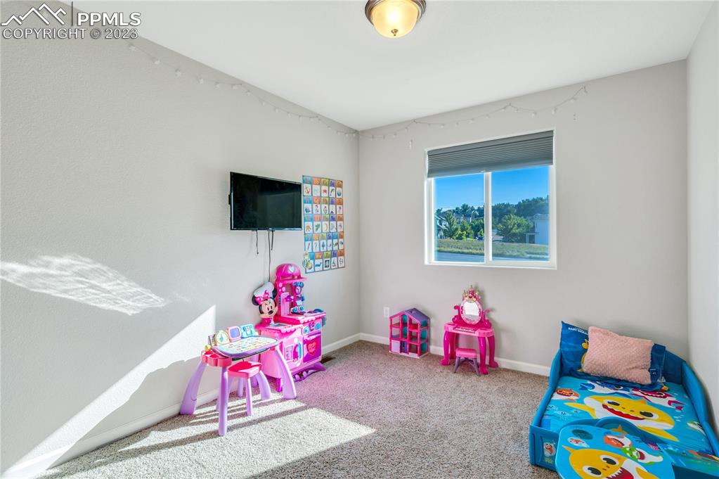2118 Birmingham Loop Colorado Springs, CO 80910 - Photo 20 of 28 a bedroom with furniture and a flat screen tv