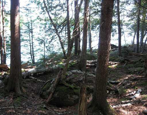 Lot N115 Burwash Road Wesley, ME 04686 - Photo 2 of 2 Land/Lot.