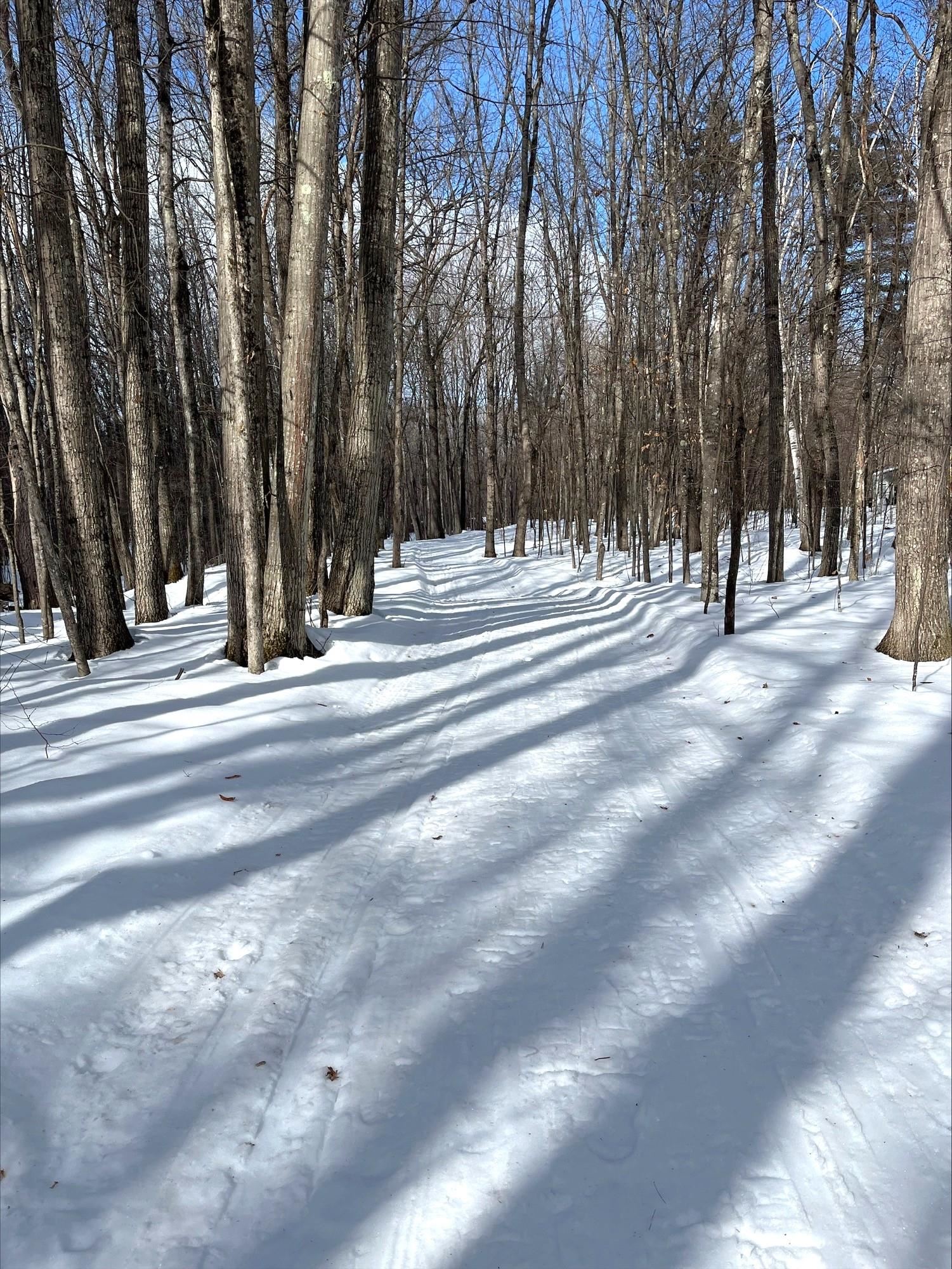 23 Birchlea Loop Bartlett, NH 03845 - Photo 32 of 40