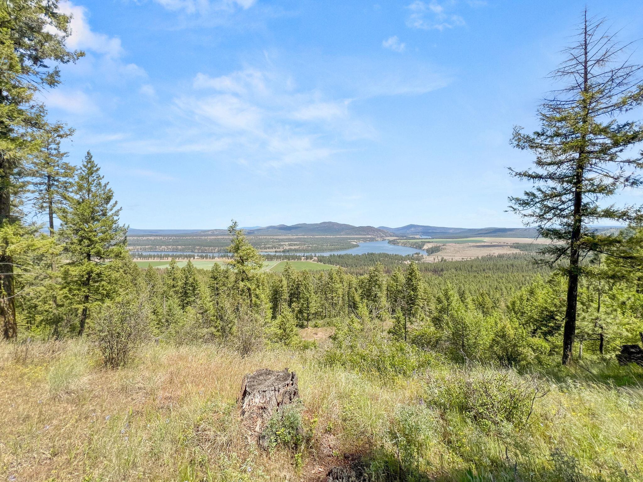 0 West Highland Road Ford, WA 99013 - Photo 41 of 41