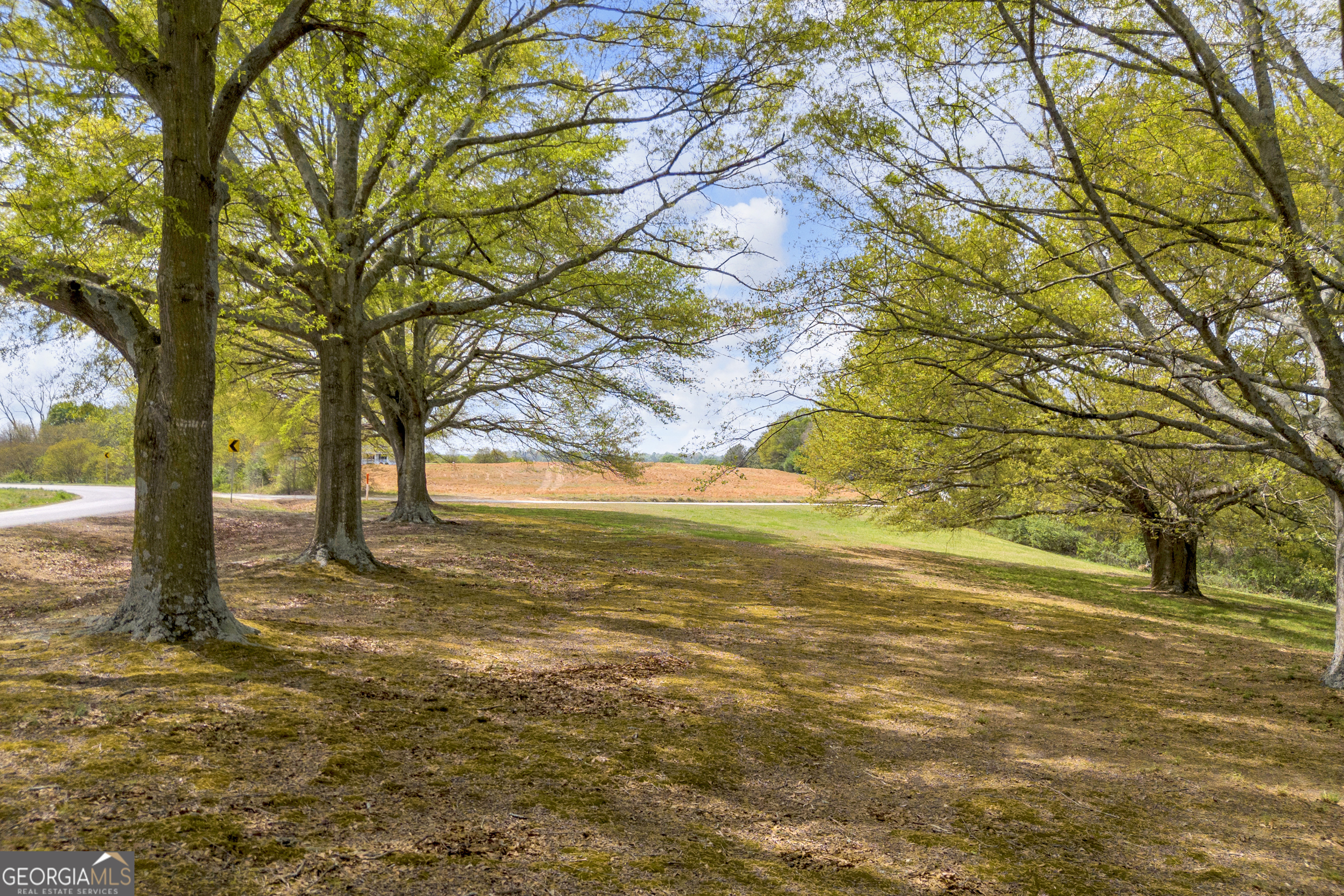 450 Clarks Creek Road North Martin, GA 30557 - Photo 8 of 70