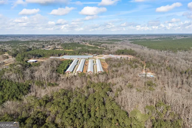 a view of a street with a large trees