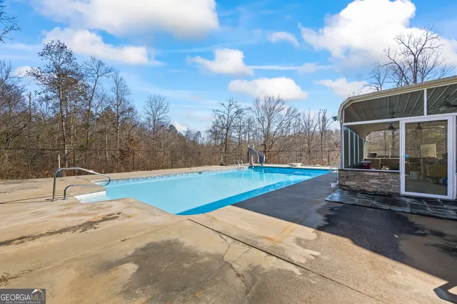 a view of a forest with trees