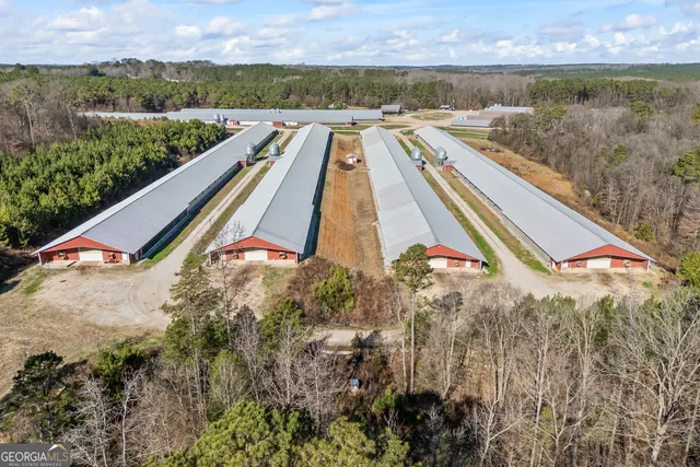 a house view with backyard space