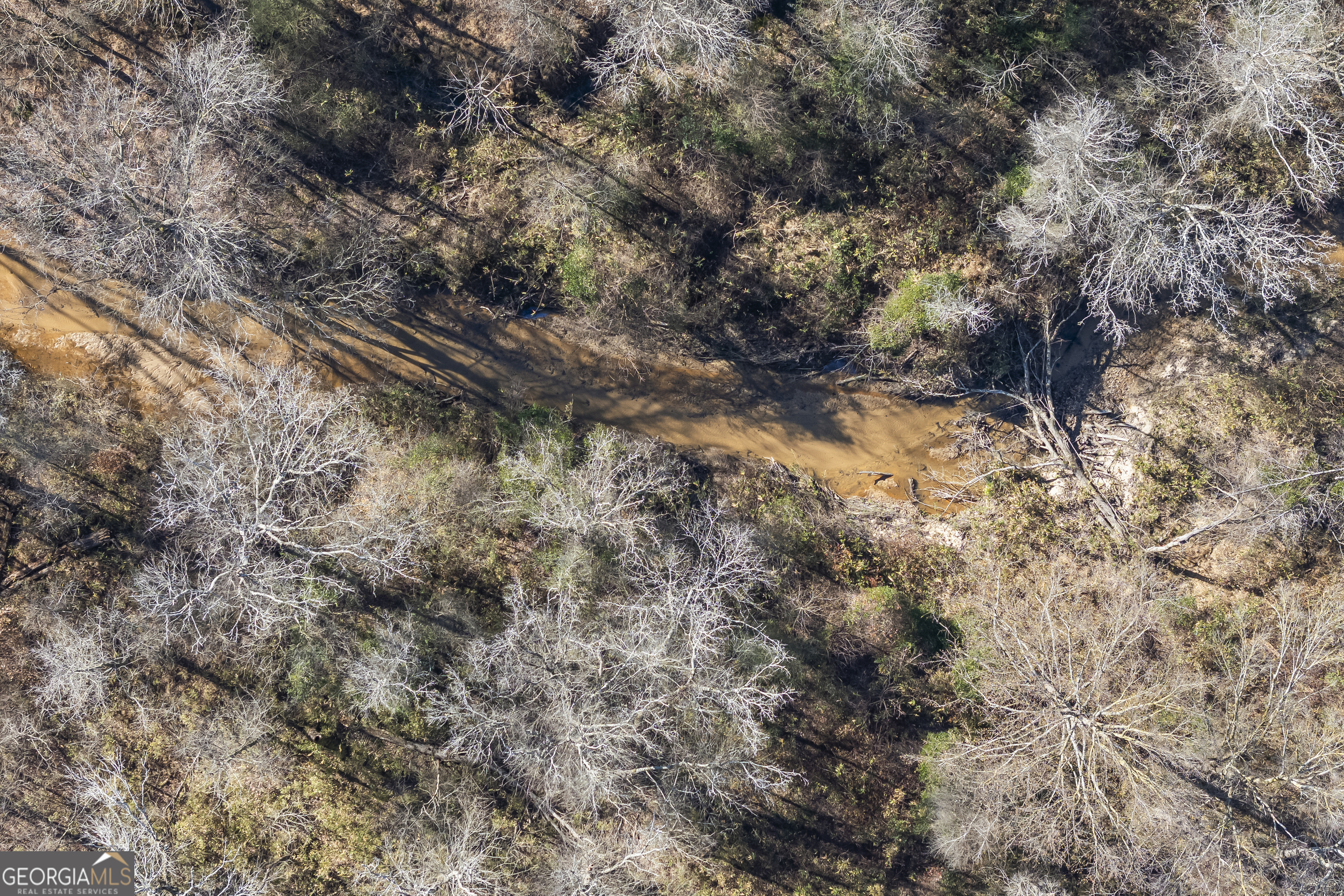 747 Washington Road Lexington, GA 30648 - Photo 73 of 118 a view of a forest with trees