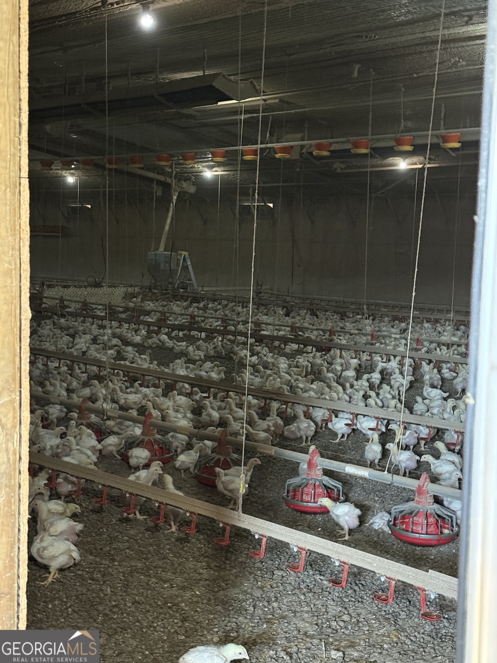 747 Washington Road Lexington, GA 30648 - Photo 8 of 118 a bathroom with shower