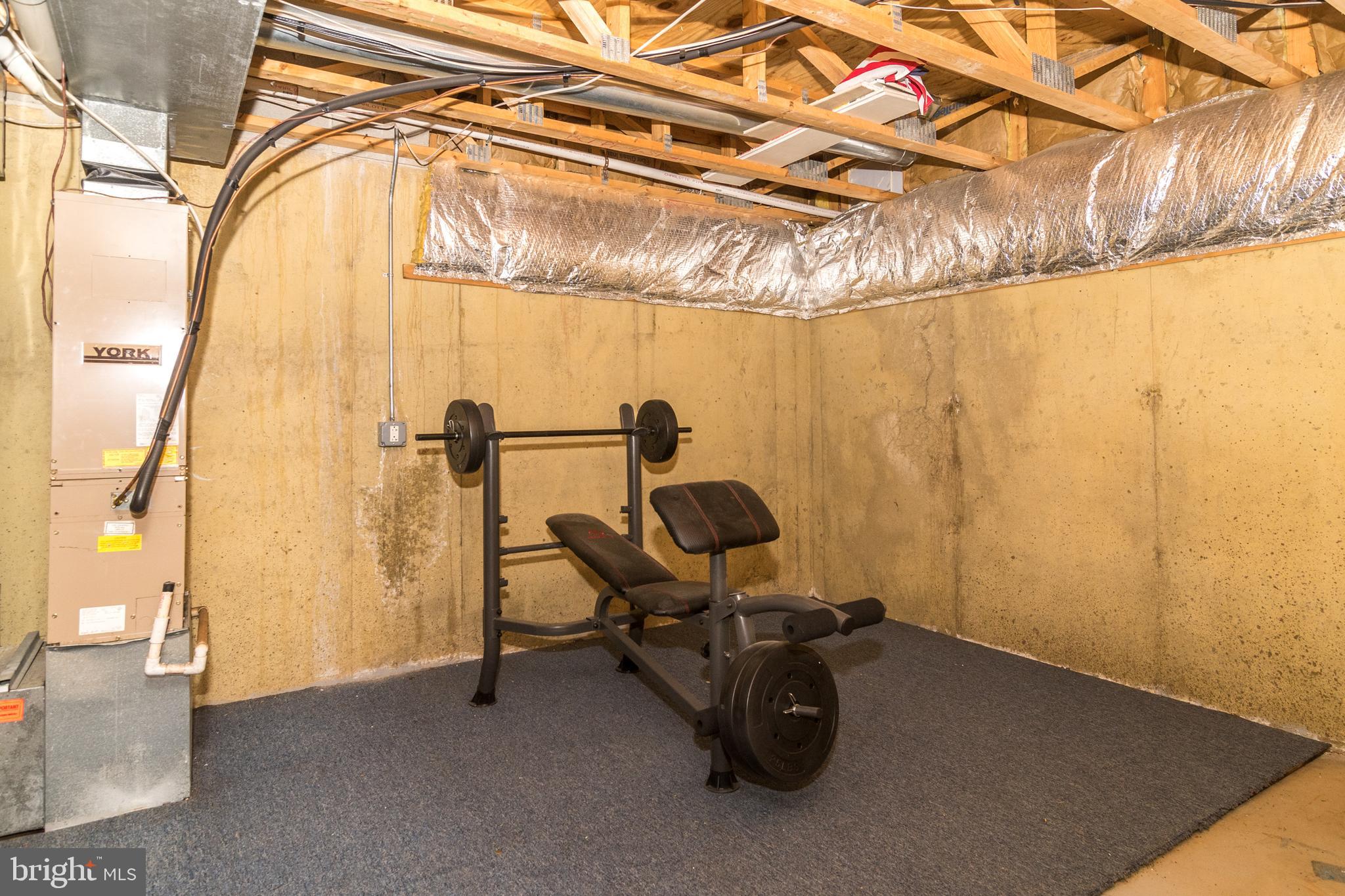 67 Charing Cross Road, Unit 34 Doylestown, PA 18901 - Photo 23 of 31 Basement