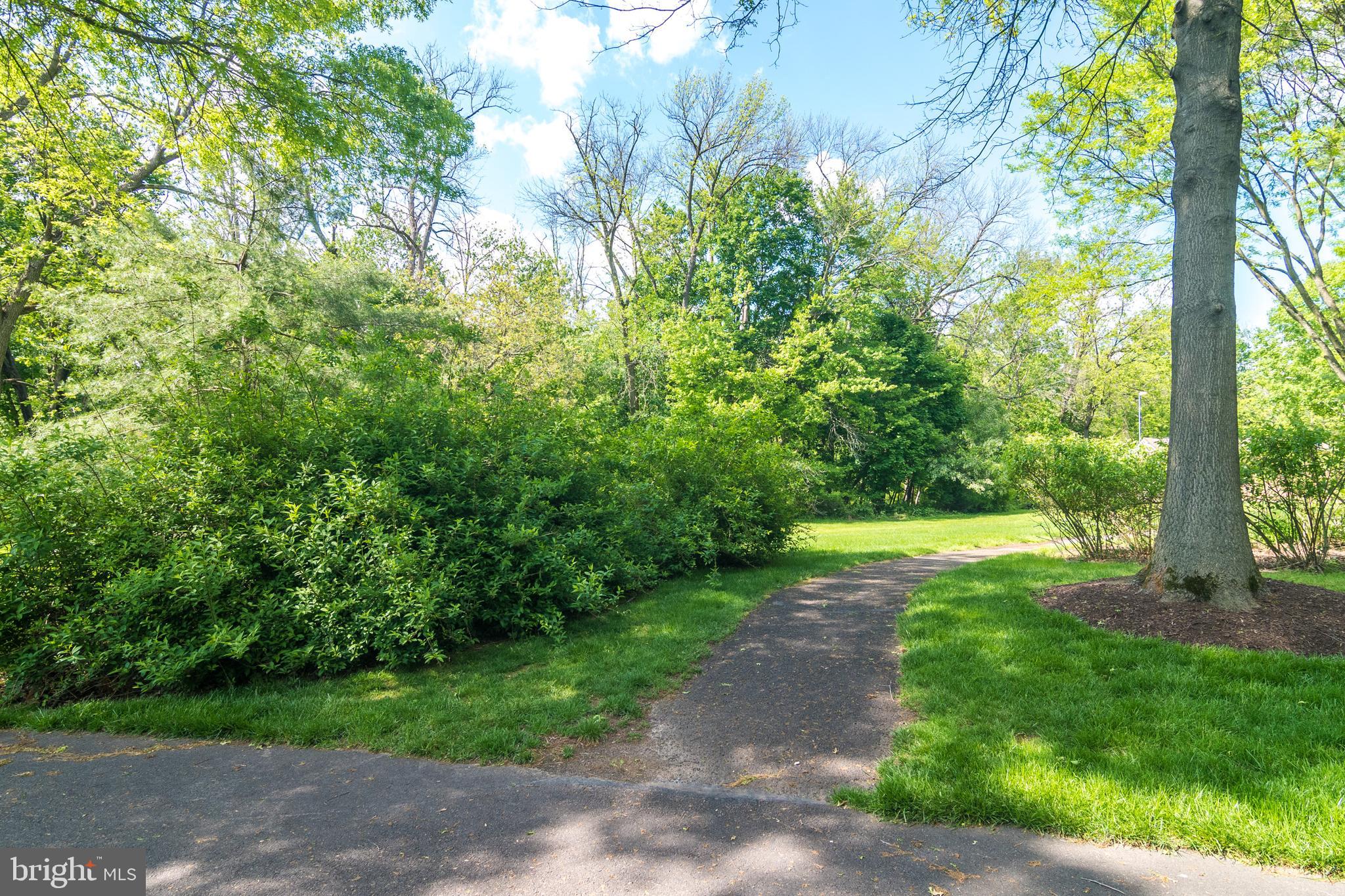 67 Charing Cross Road, Unit 34 Doylestown, PA 18901 - Photo 28 of 31 Nearby Walking Trail