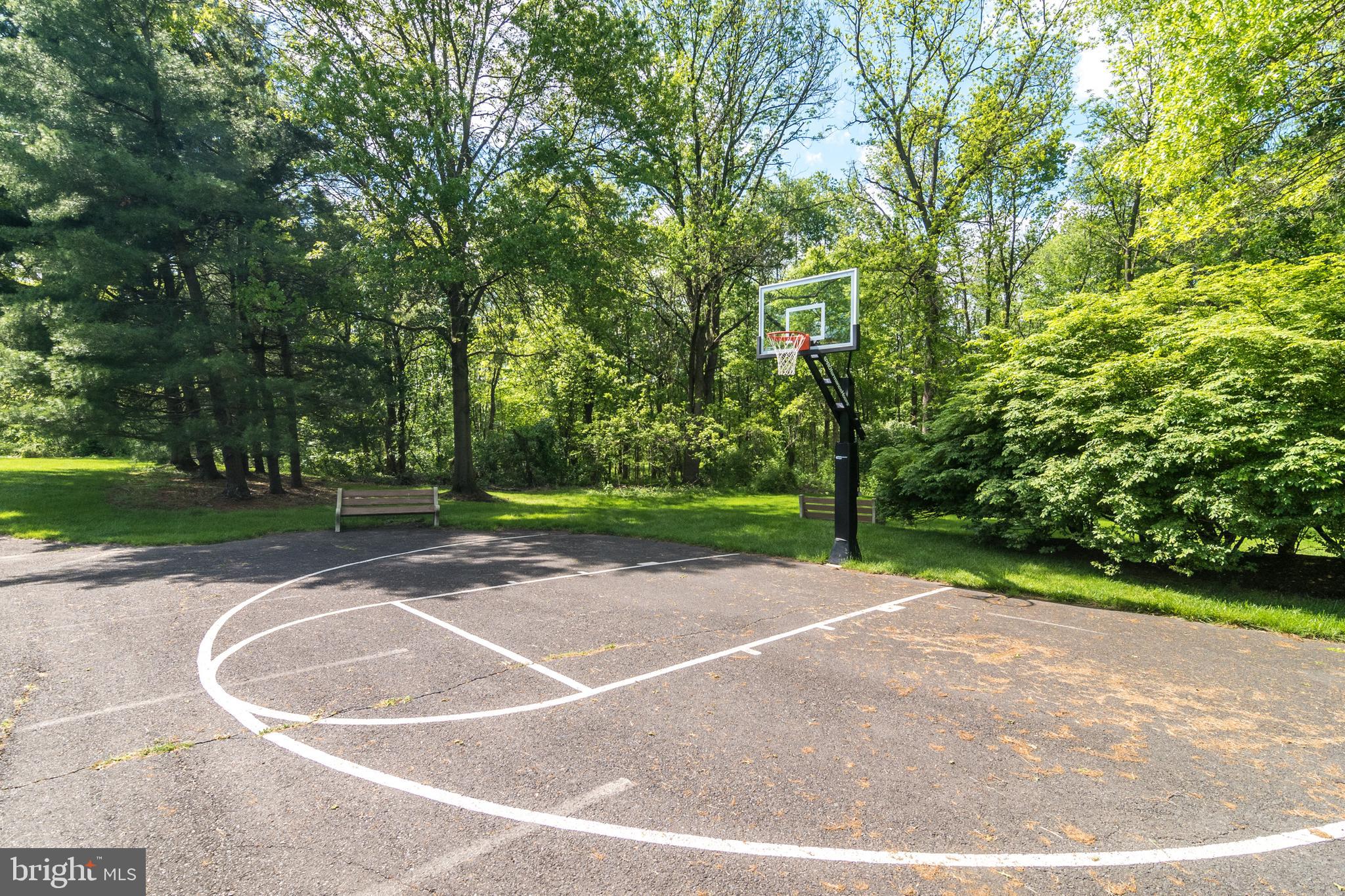 67 Charing Cross Road, Unit 34 Doylestown, PA 18901 - Photo 30 of 31 Community Basketball Court