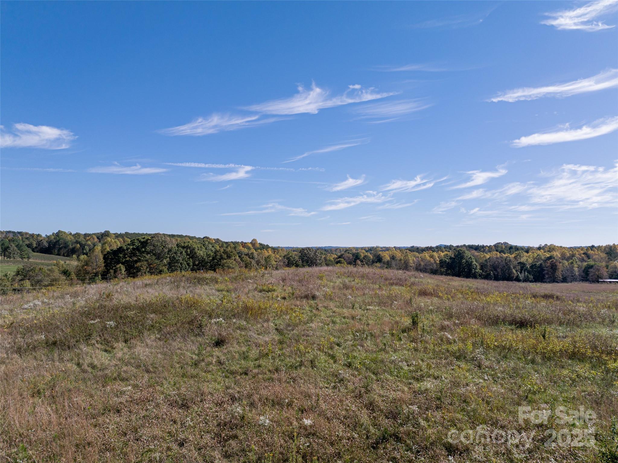 0 East Nc Highway, Unit LOT 55 Mill Spring, NC 28756 - Photo 15 of 17 a view of mountain with lake view