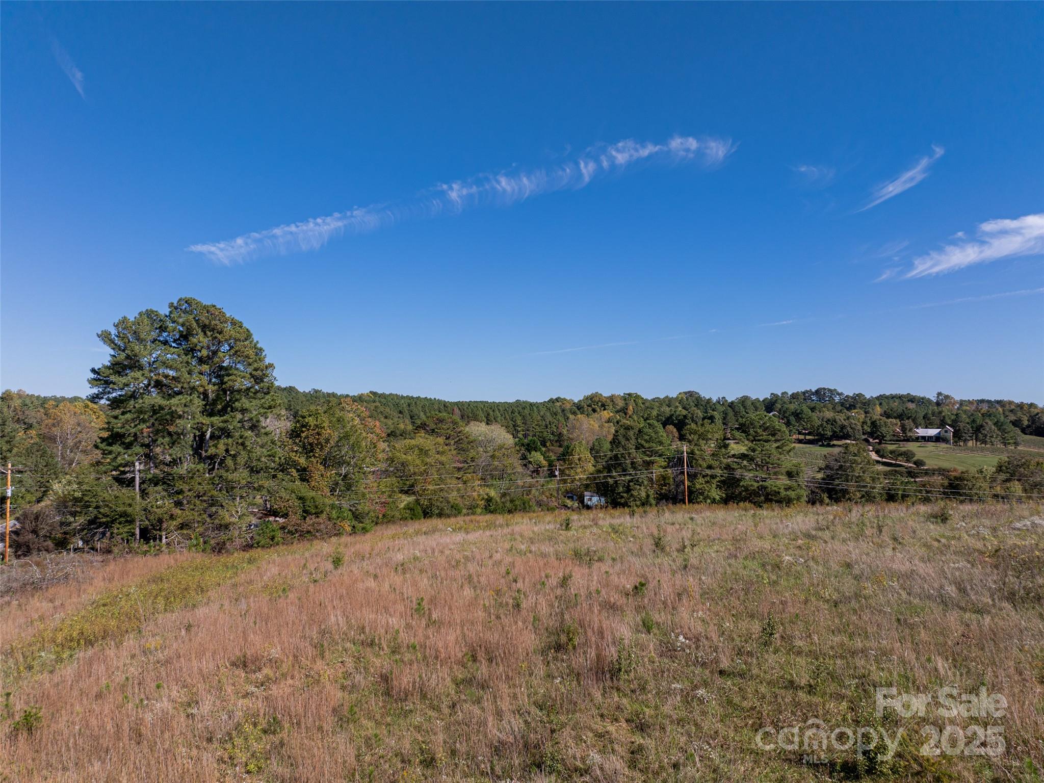 0 East Nc Highway, Unit LOT 55 Mill Spring, NC 28756 - Photo 16 of 17 a view of a dry yard with trees in the background
