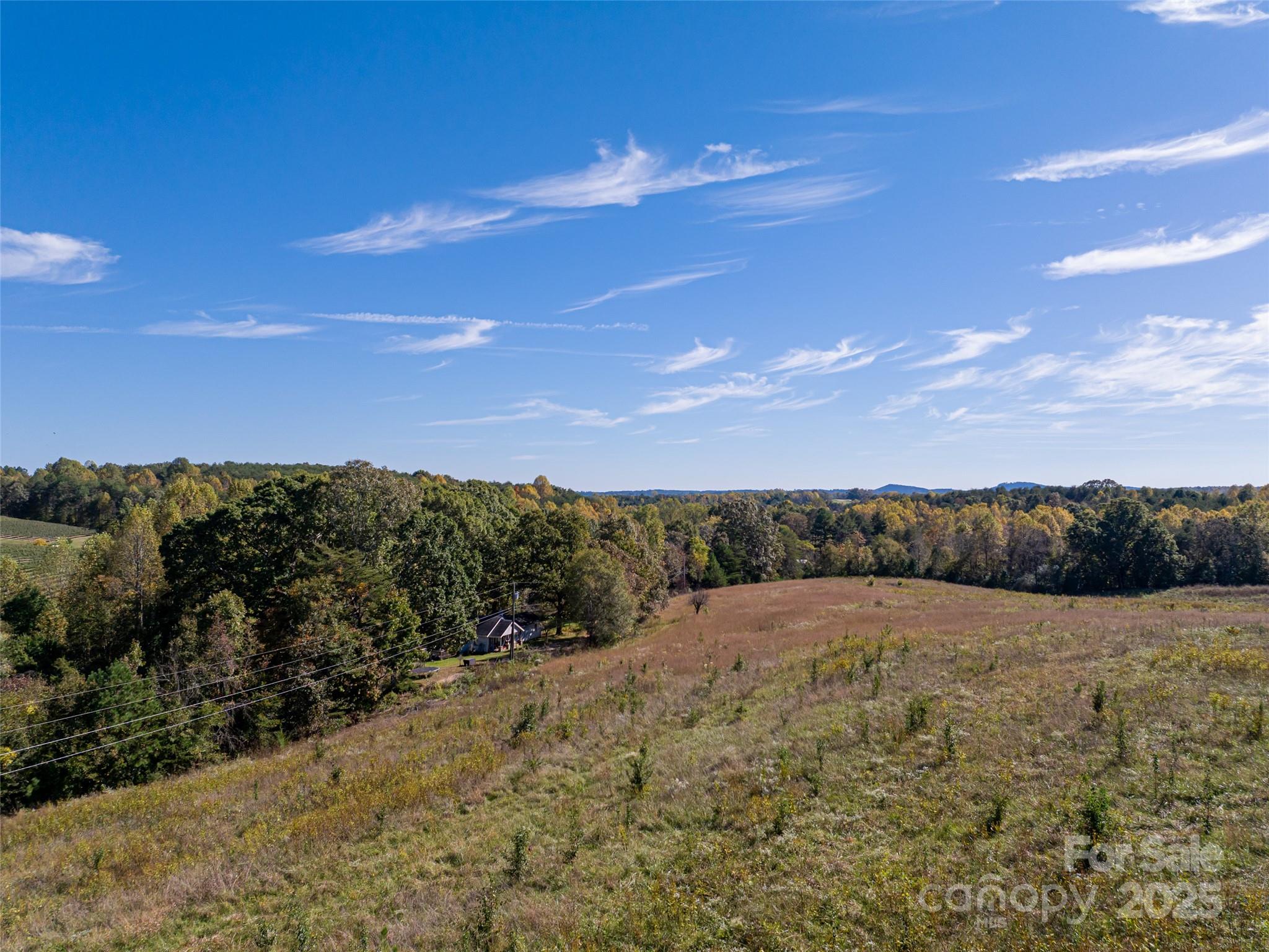 0 East Nc Highway, Unit LOT 55 Mill Spring, NC 28756 - Photo 8 of 17