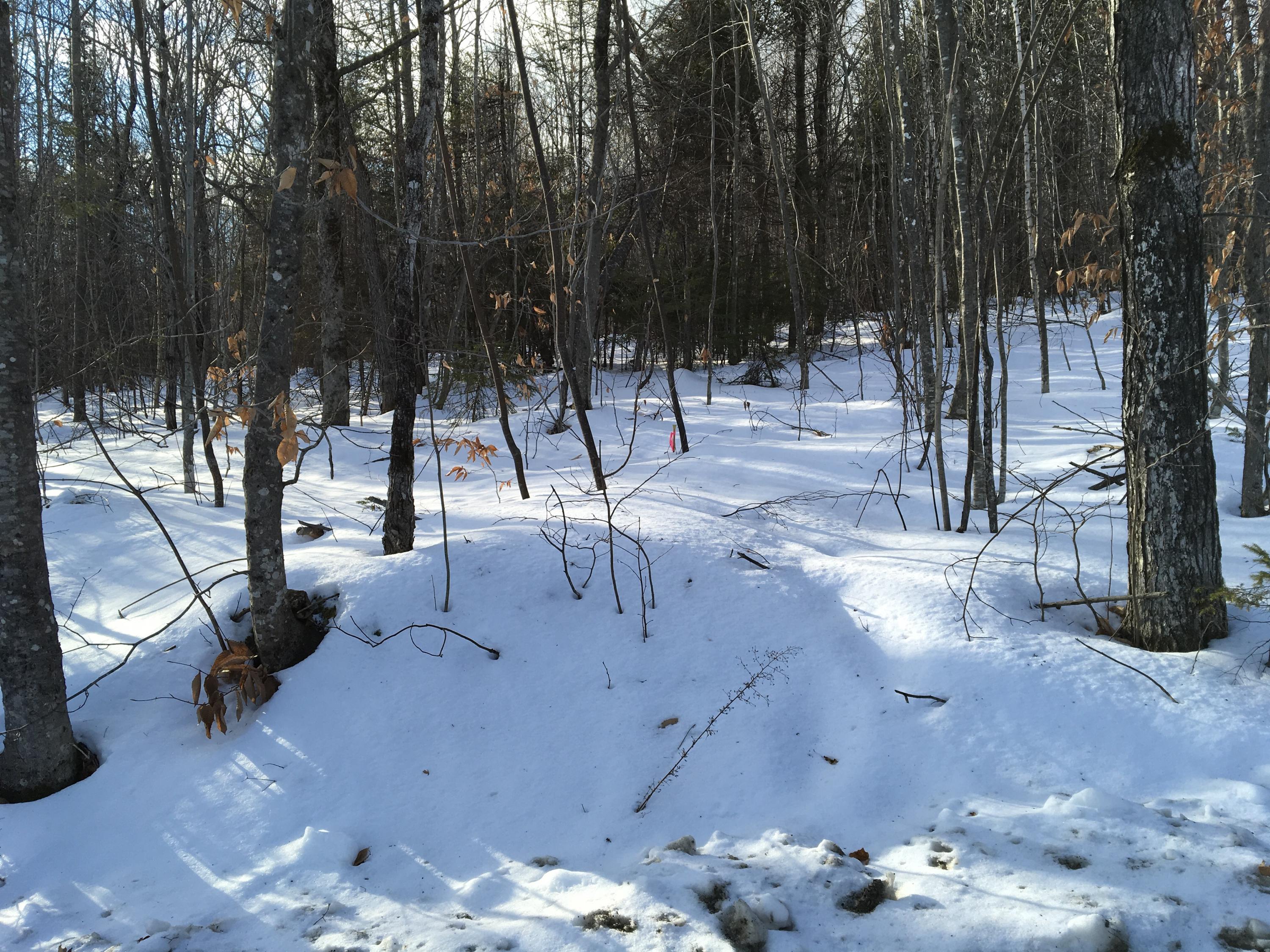On Foss Hill Road Garland, ME 04939 - Photo 15 of 15 Photo Dec 07, 1 50 49 PM