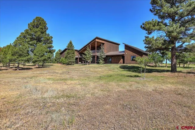 a view of a yard with plants and trees
