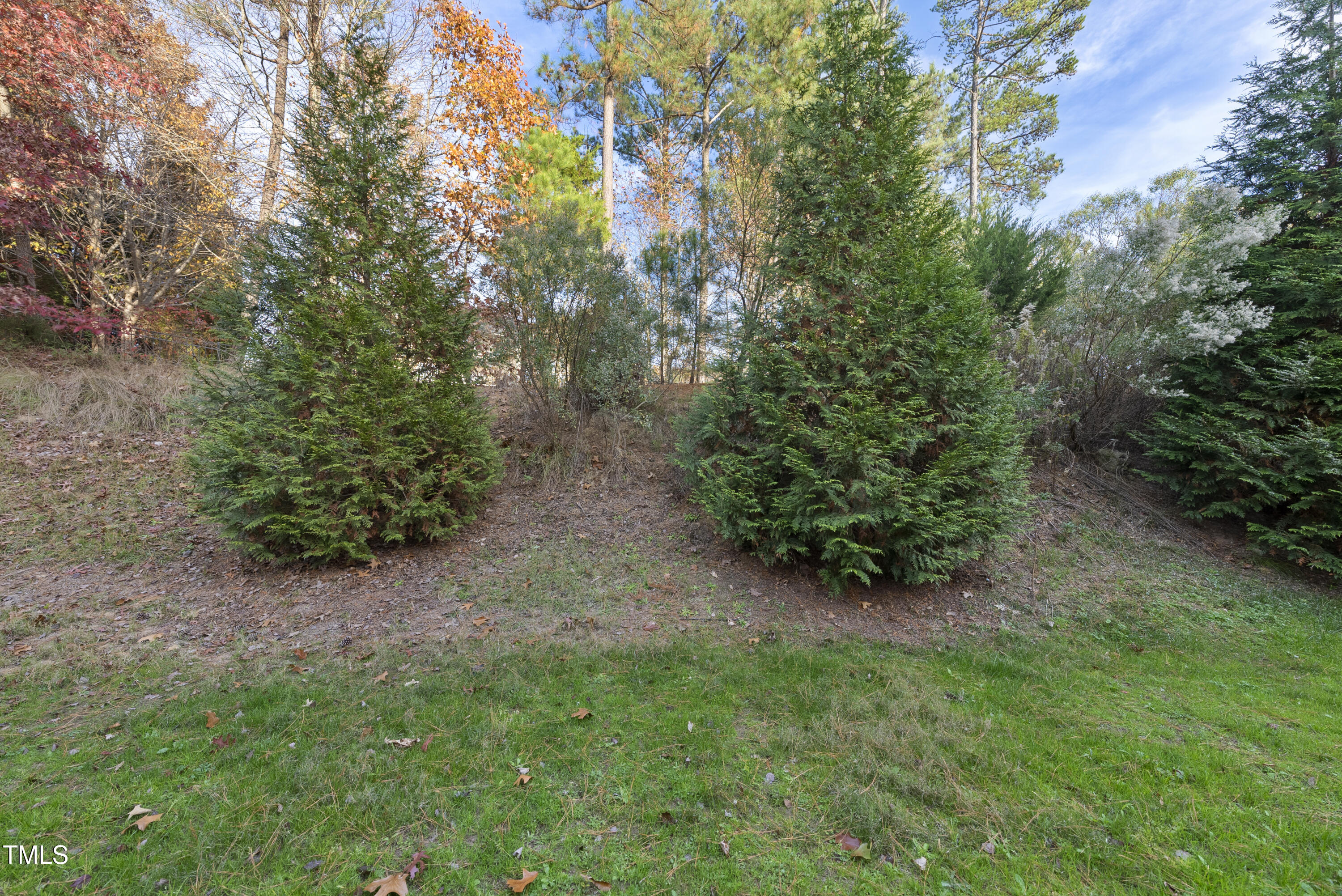10132 Blackwell Drive Raleigh, NC 27617 - Photo 25 of 29 DSC02542
