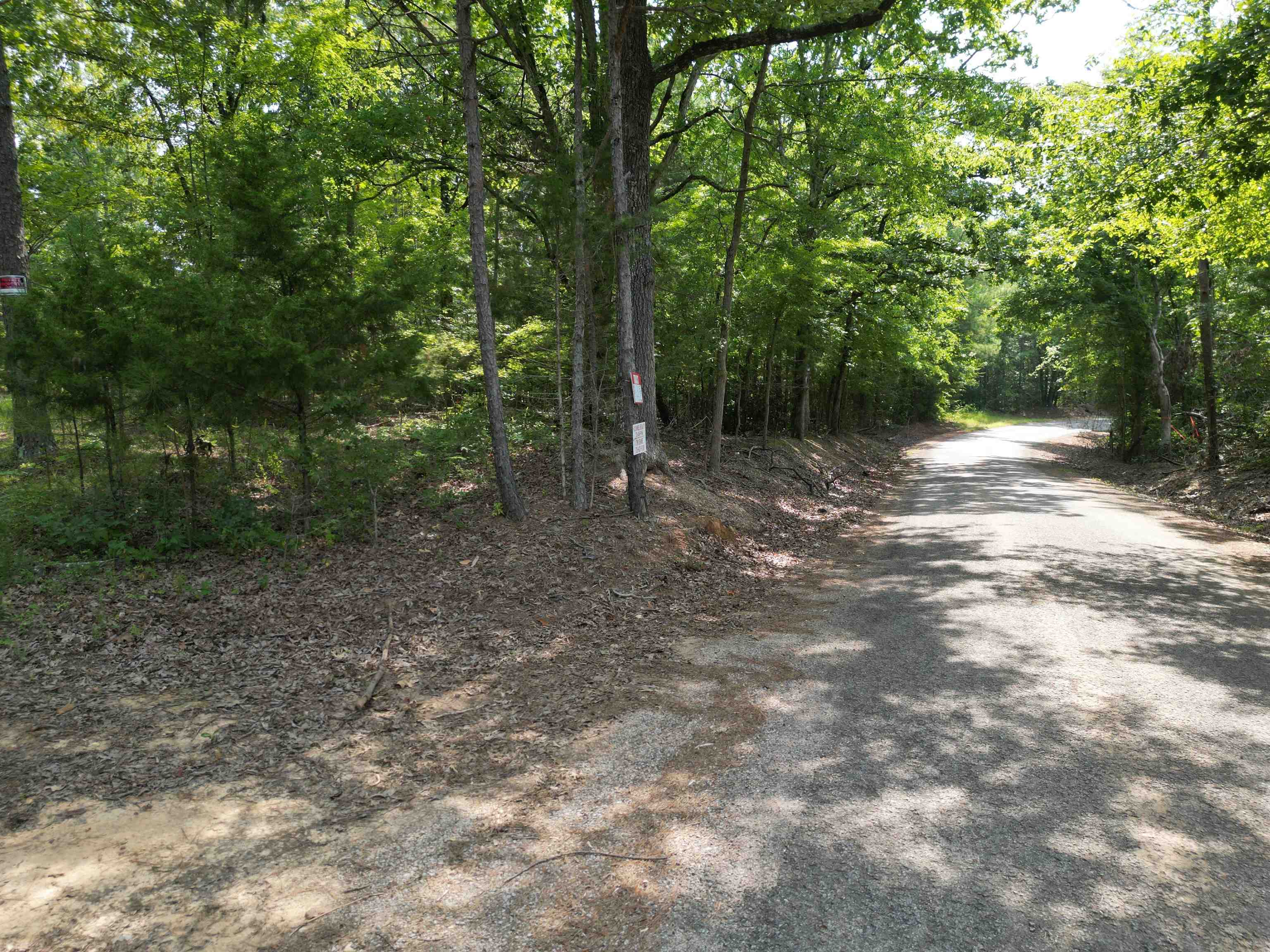 a view of a forest with trees in the background