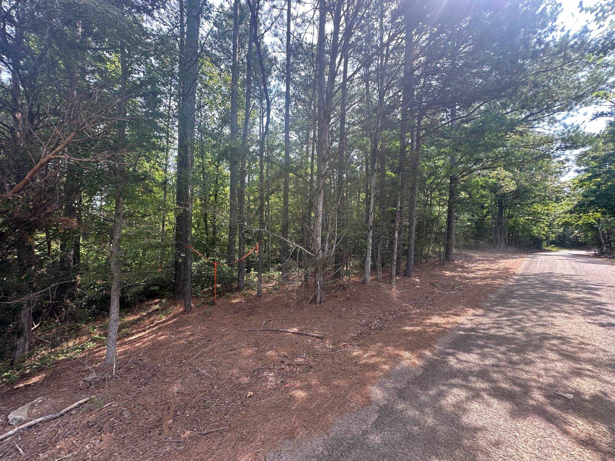3 Talley Road Hornsby, TN 38044 - Photo 11 of 16 a view of a forest with trees in the background