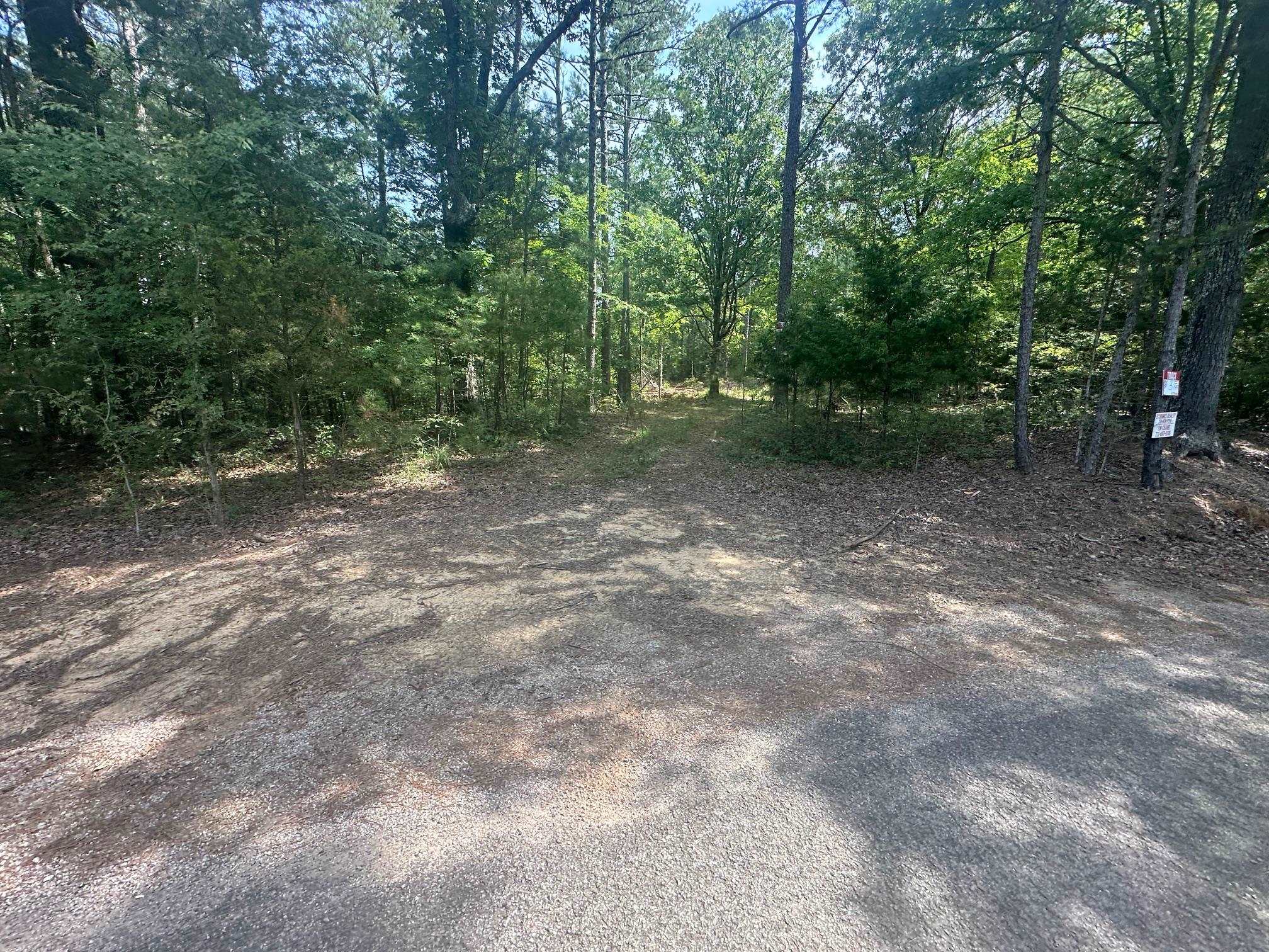 3 Talley Road Hornsby, TN 38044 - Photo 13 of 16 a view of a forest with trees in the background