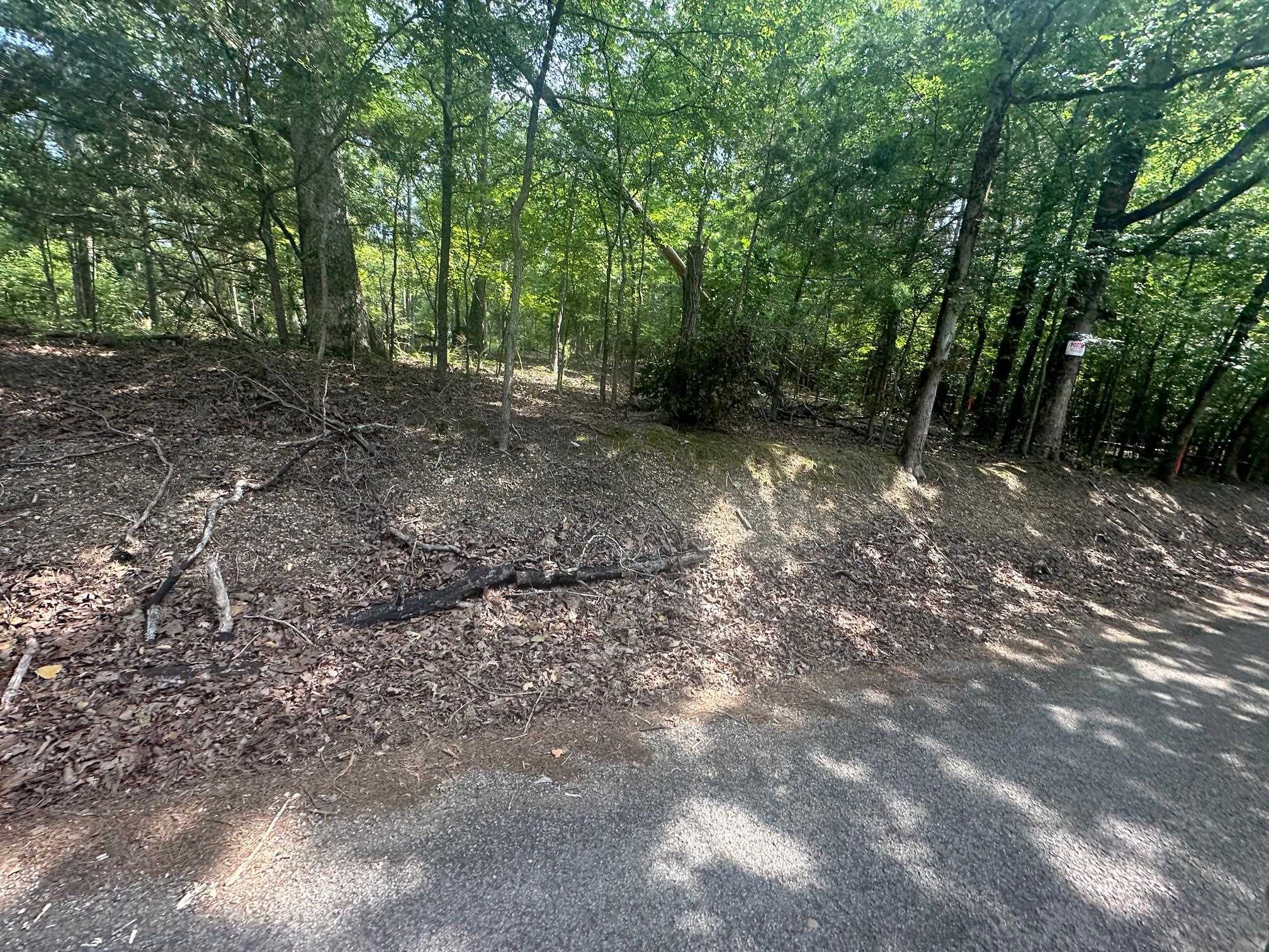 3 Talley Road Hornsby, TN 38044 - Photo 14 of 16 a view of a forest with trees in the background