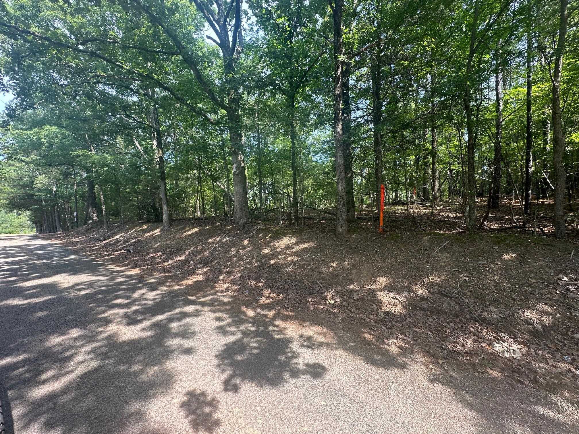 3 Talley Road Hornsby, TN 38044 - Photo 15 of 16 a view of a forest with trees in the background