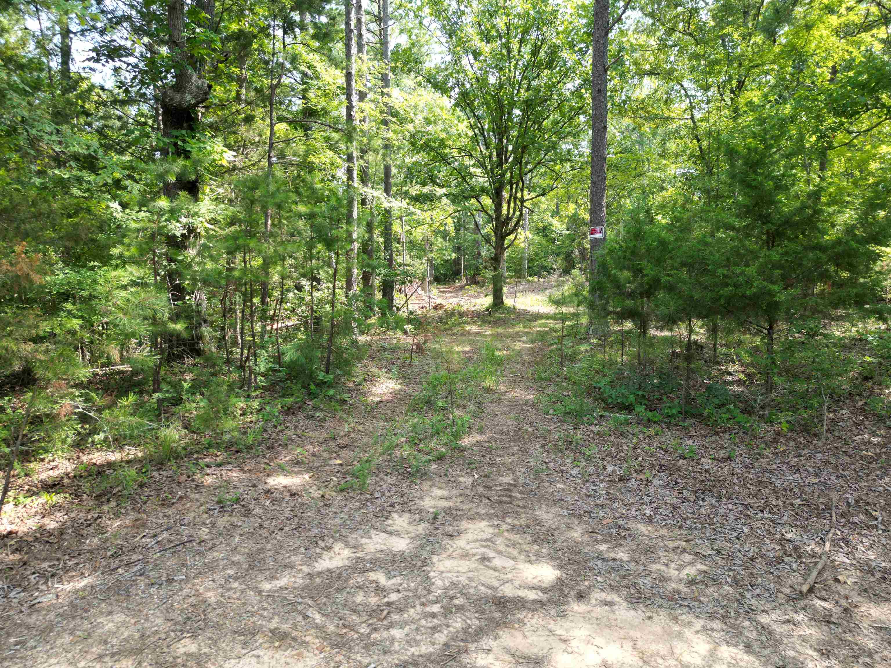 3 Talley Road Hornsby, TN 38044 - Photo 3 of 16 a view of a forest with trees in the background