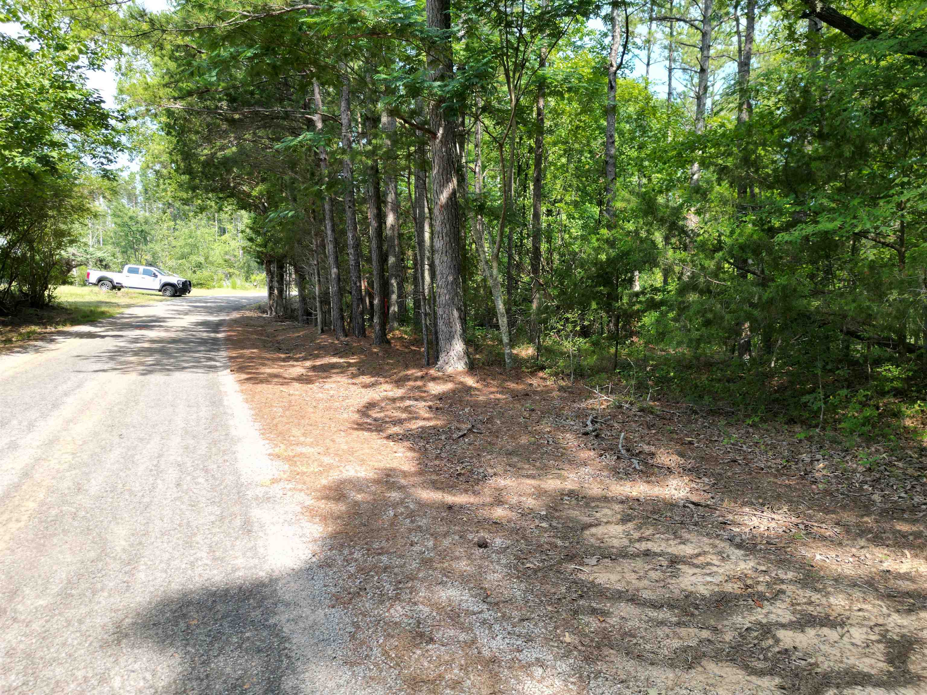 3 Talley Road Hornsby, TN 38044 - Photo 4 of 16 a view of a yard with plants and trees